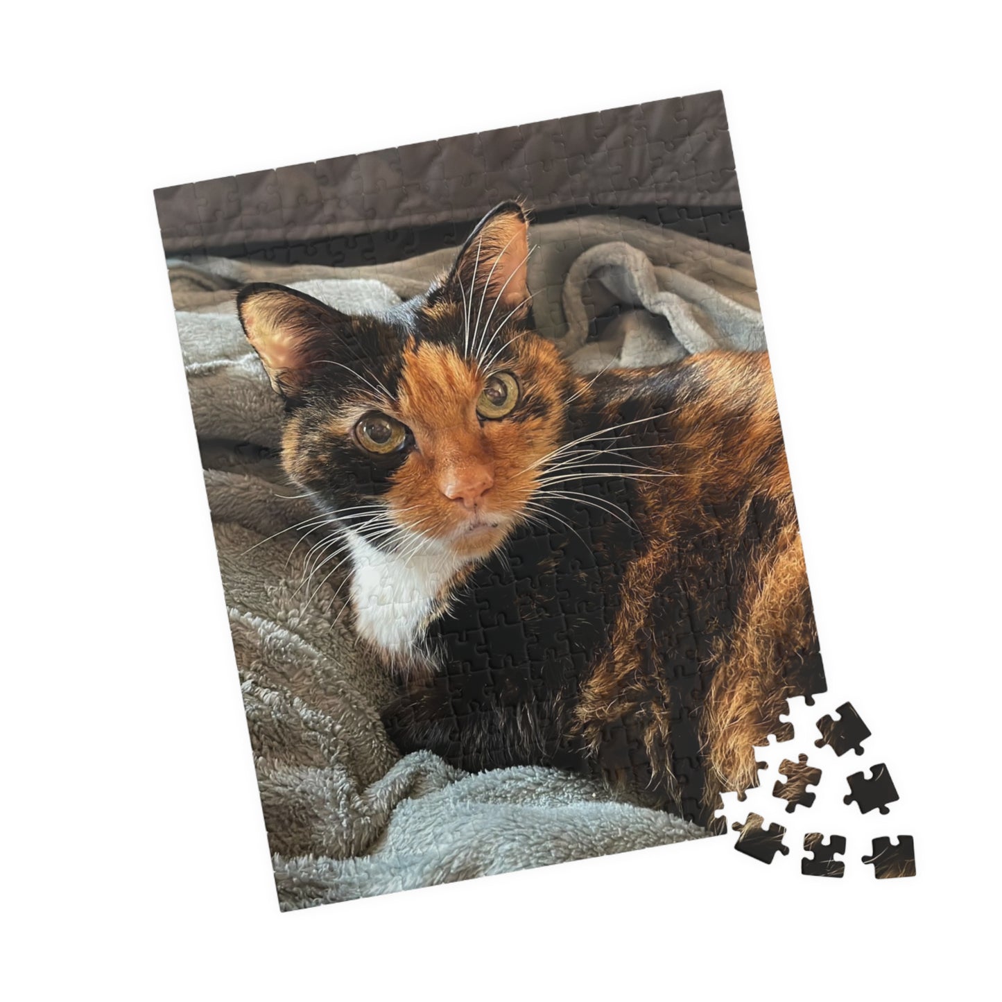 Puzzle (110, 252, 520, 1014-piece)