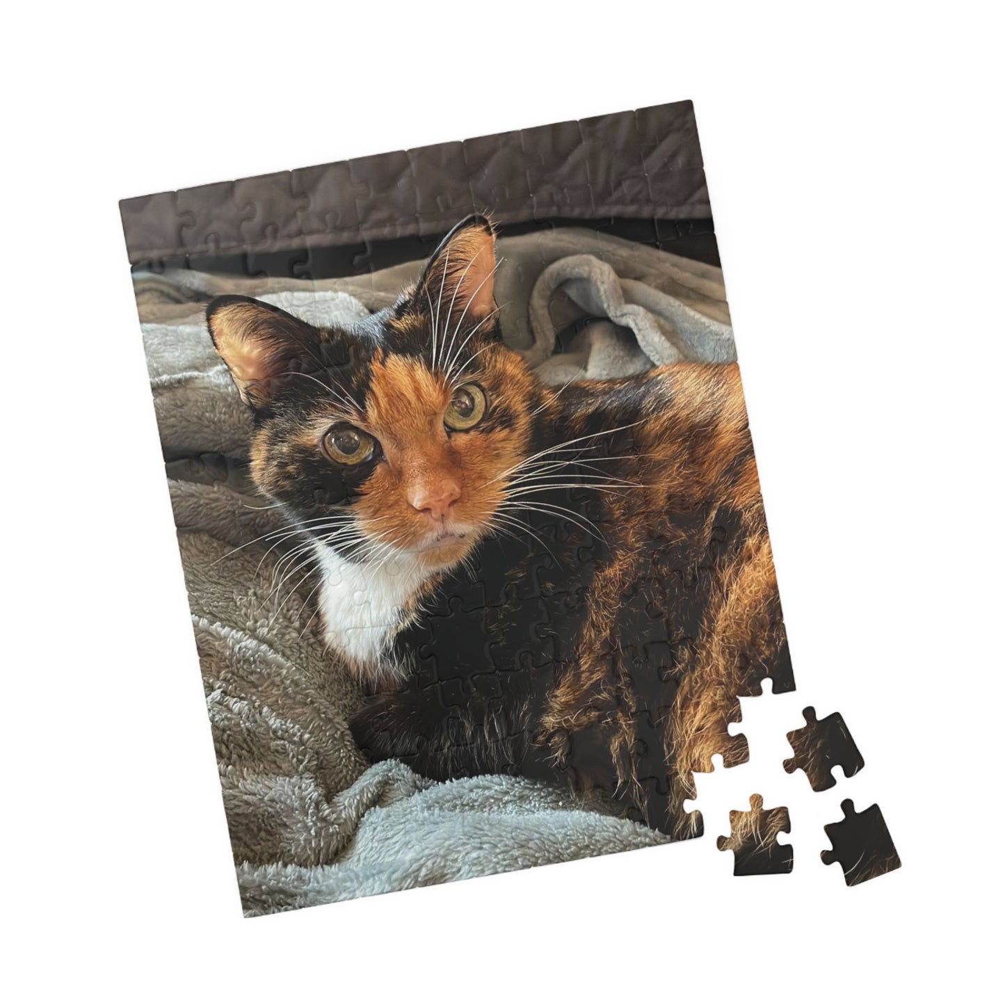 Puzzle (110, 252, 520, 1014-piece)